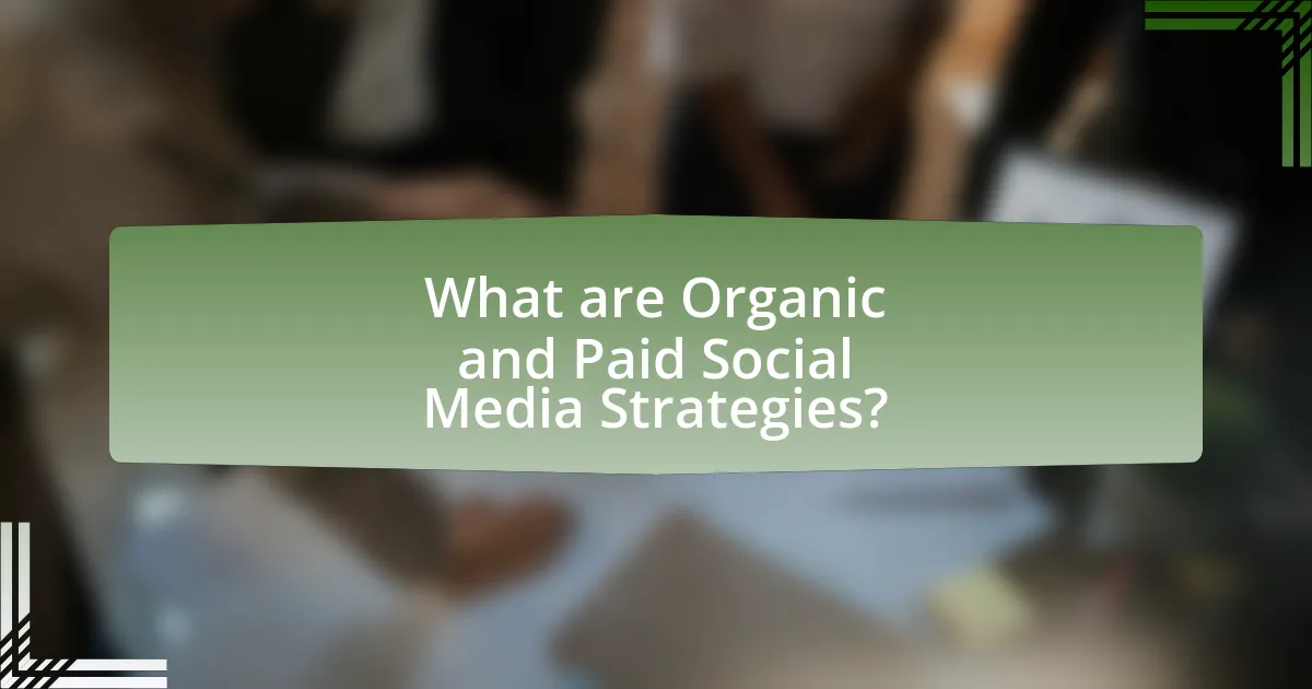 What are Organic and Paid Social Media Strategies?